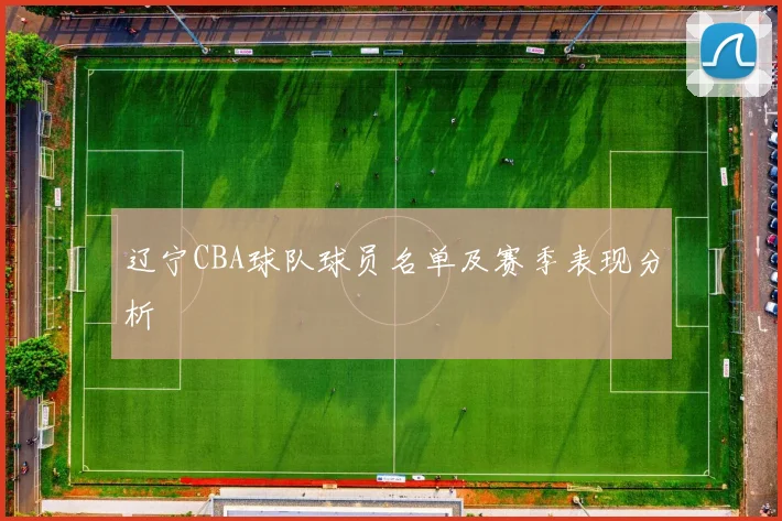 辽宁CBA球队球员名单及赛季表现分析