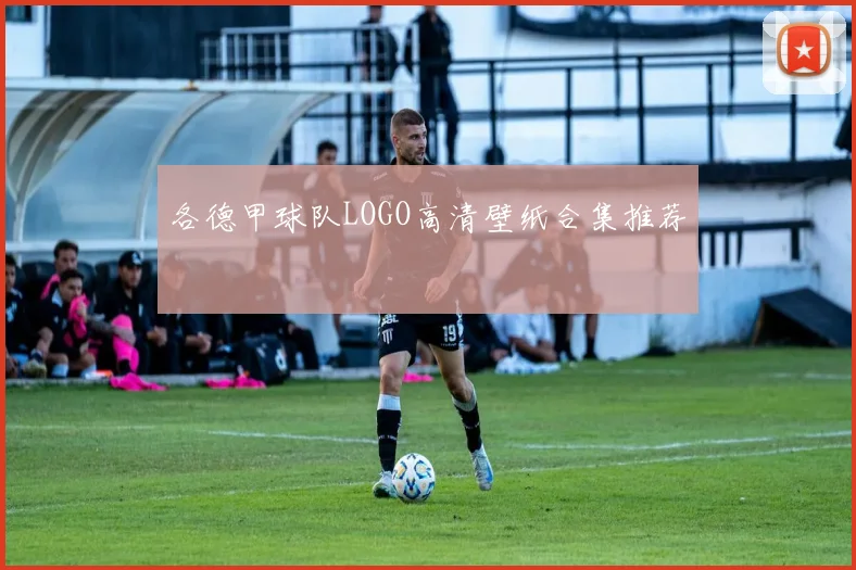各德甲球队LOGO高清壁纸合集推荐