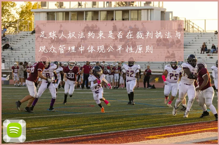足球人权法约束是否在裁判执法与观众管理中体现公平性原则