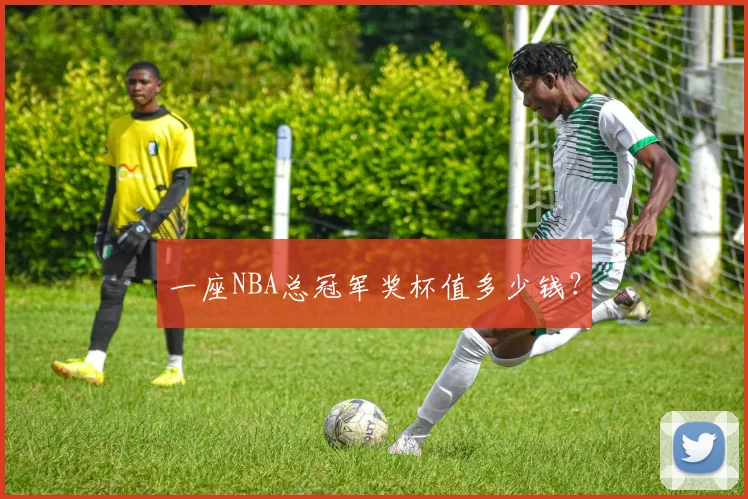 一座NBA总冠军奖杯值多少钱？