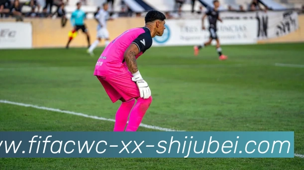 世界杯直播平台生态图