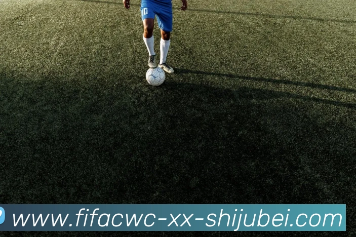 奖项3