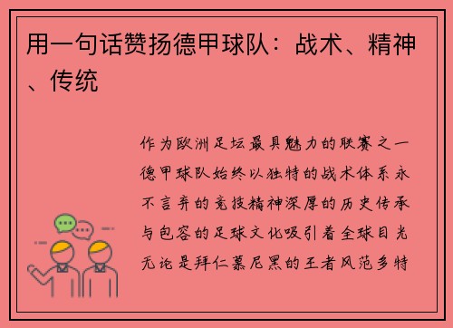 用一句话赞扬德甲球队：战术、精神、传统