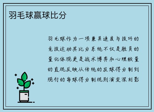 羽毛球赢球比分