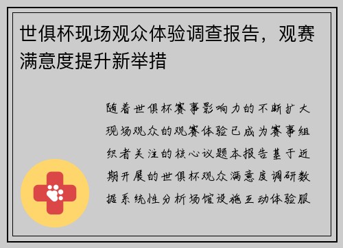 世俱杯现场观众体验调查报告，观赛满意度提升新举措